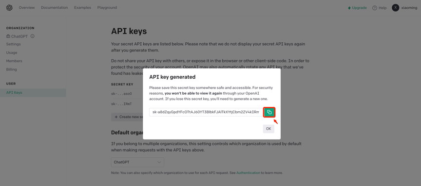 Chatgpt Api Key Chatgpt Plus